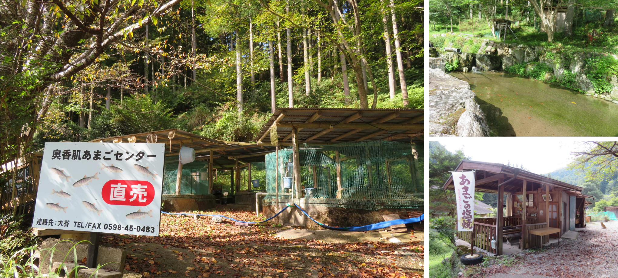 奥香肌あまごセンター