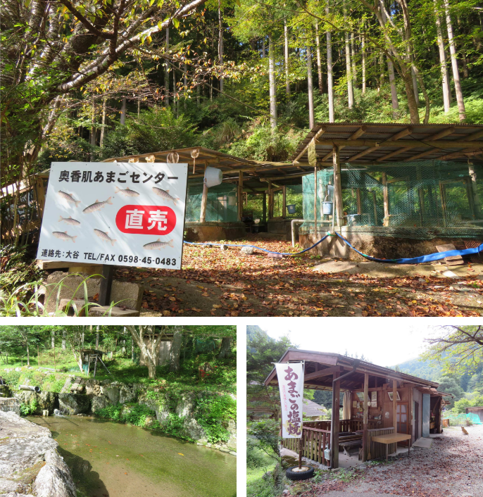 奥香肌あまごセンター