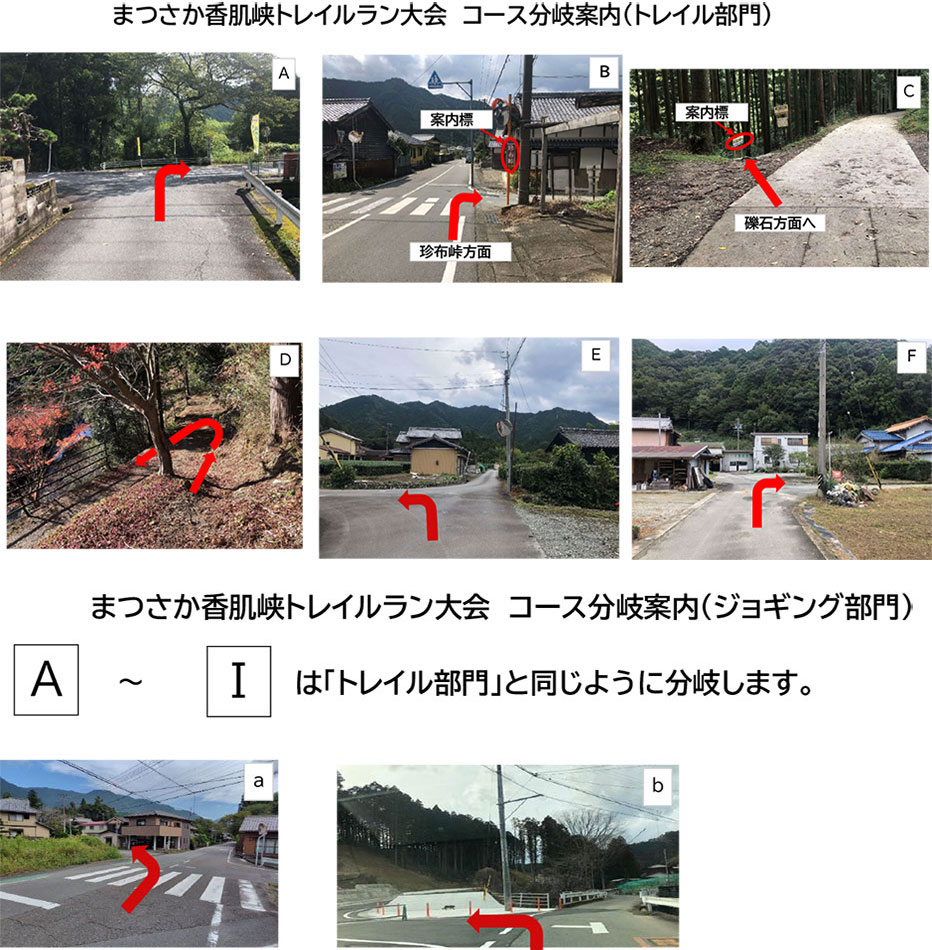コースの分岐点の進行方向