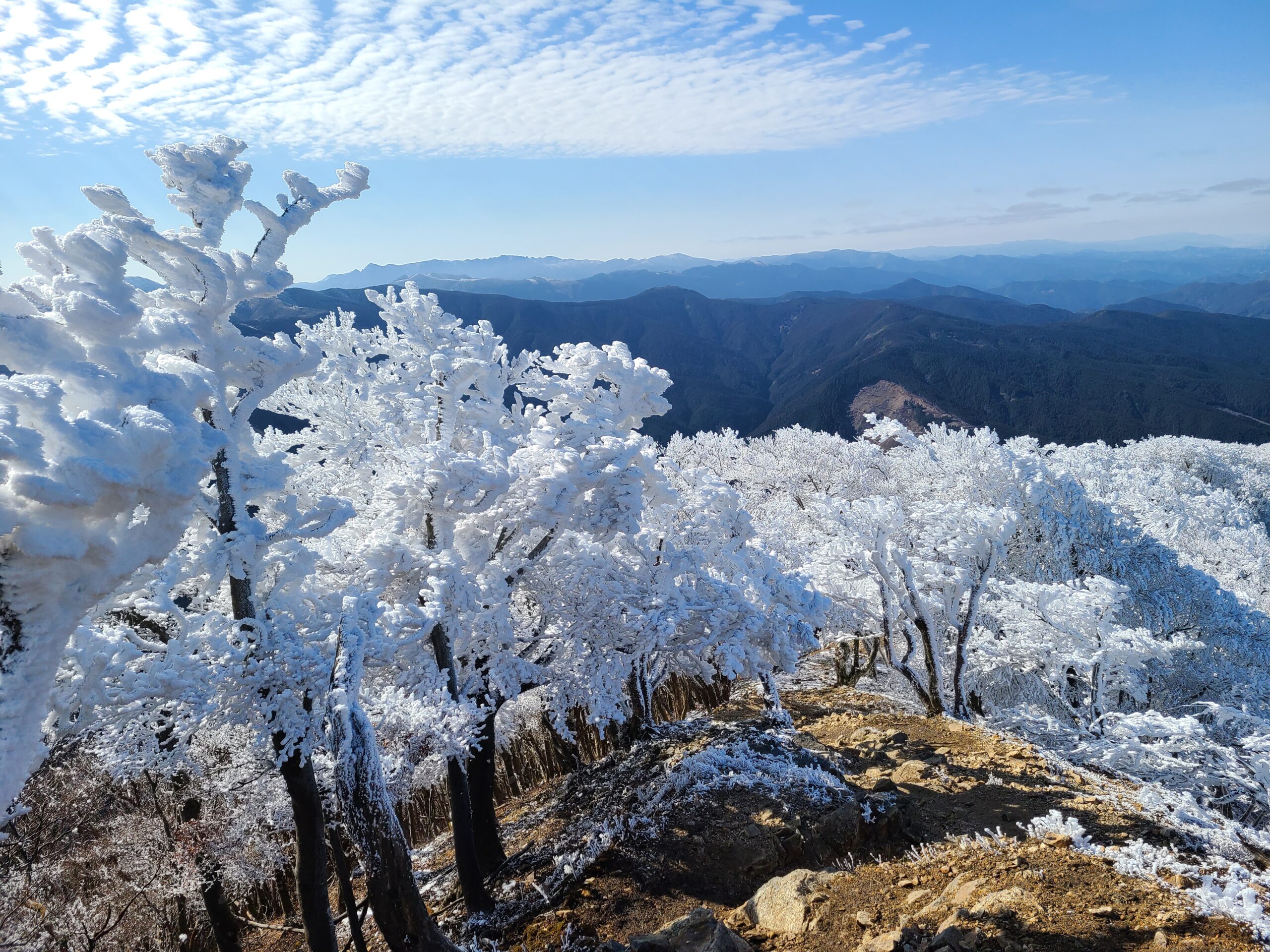 高見山の樹氷は最高に綺麗です、皆さん１度は行って見てください